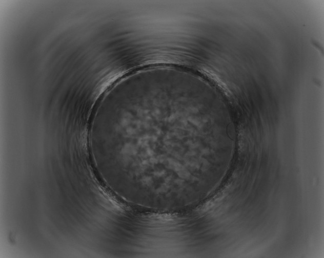 X0000092281121200710041406