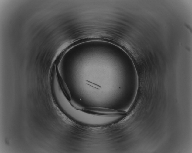 X0000092281122200710041406