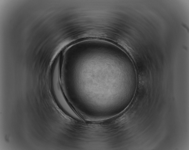 X0000092281123200710041406