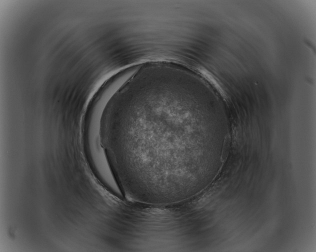 X0000092281124200710041406