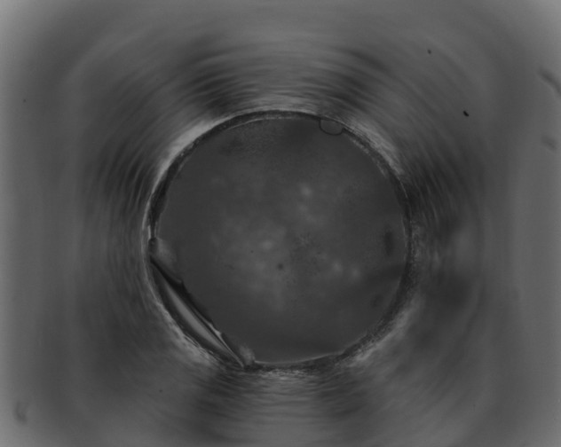 X0000092281125200710041406