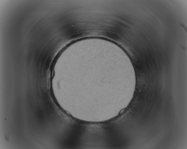 X0000092281126200710041406