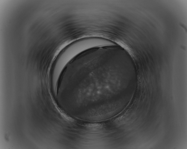 X0000092281127200710041406