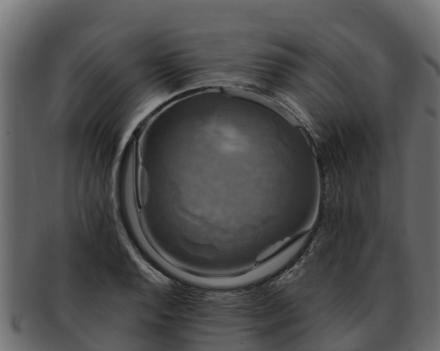 X0000092281128200710041406