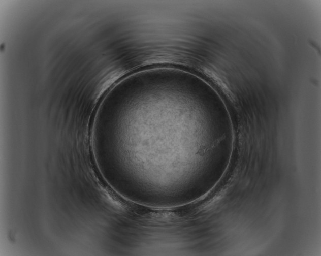 X0000092281129200710041406