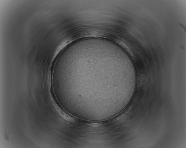 X0000092281130200710041406