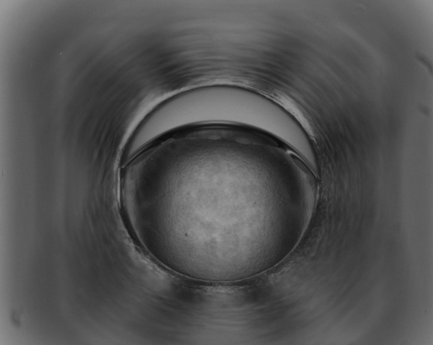 X0000092281132200710041406