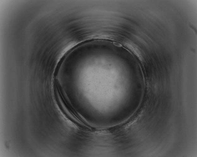 X0000092281133200710041406