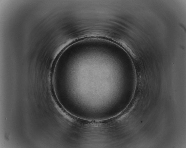 X0000092281134200710041406