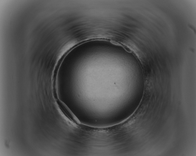 X0000092281135200710041406