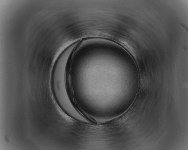 X0000092281136200710041406