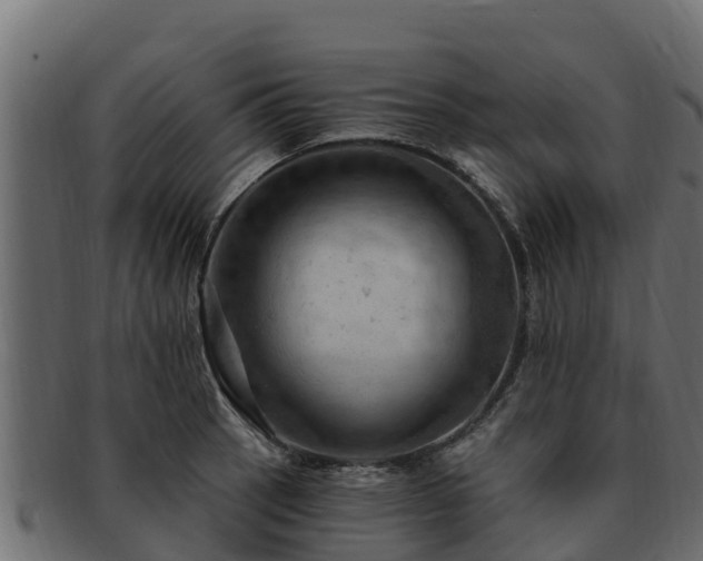 X0000092281137200710041406