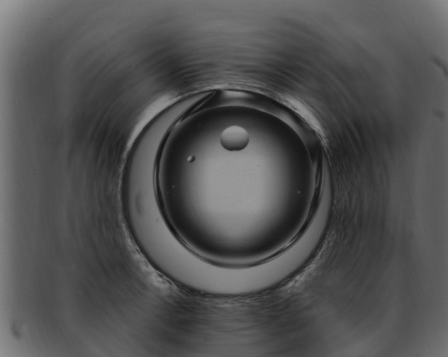 X0000092281138200710041406