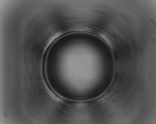 X0000092281139200710041406