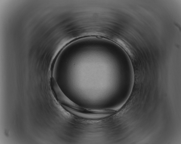 X0000092281140200710041406