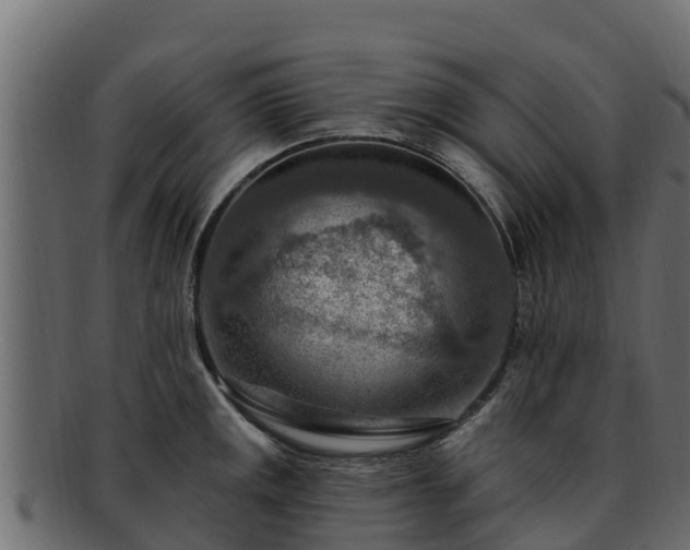 X0000092281141200710041406