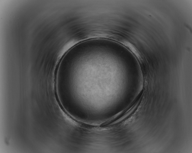 X0000092281143200710041406