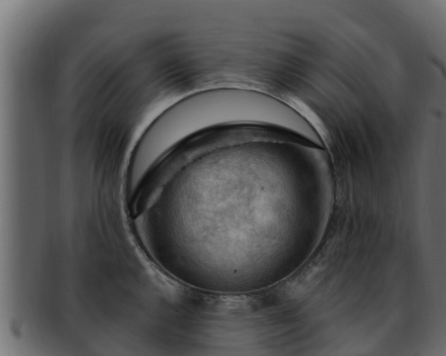 X0000092281144200710041406