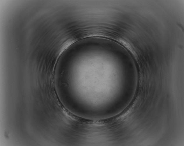 X0000092281145200710041406