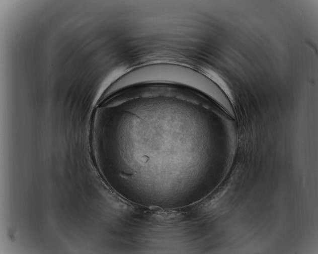 X0000092281146200710041406