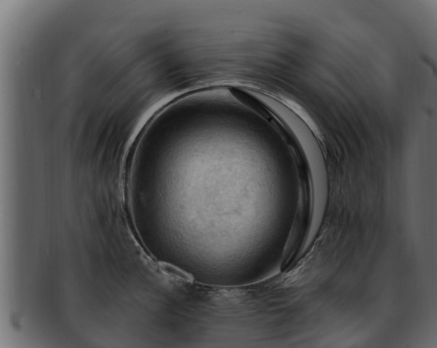 X0000092281148200710041406