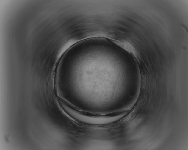 X0000092281151200710041406