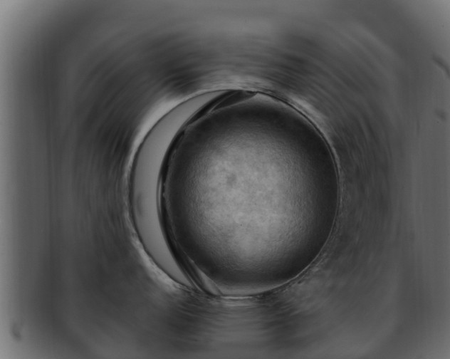 X0000092281152200710041406