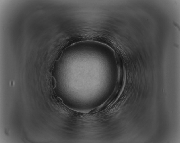 X0000092281153200710041405