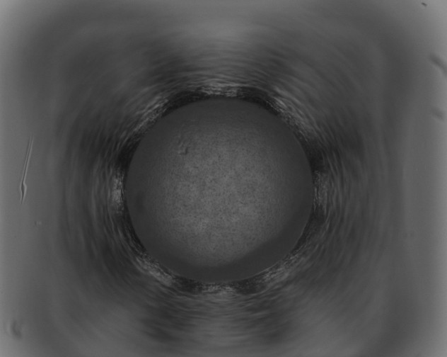 X0000092281154200710041405