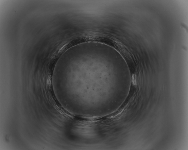 X0000092281155200710041405