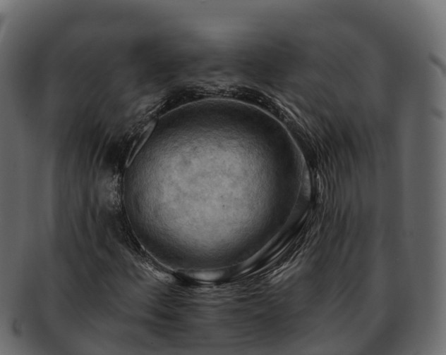 X0000092281156200710041405