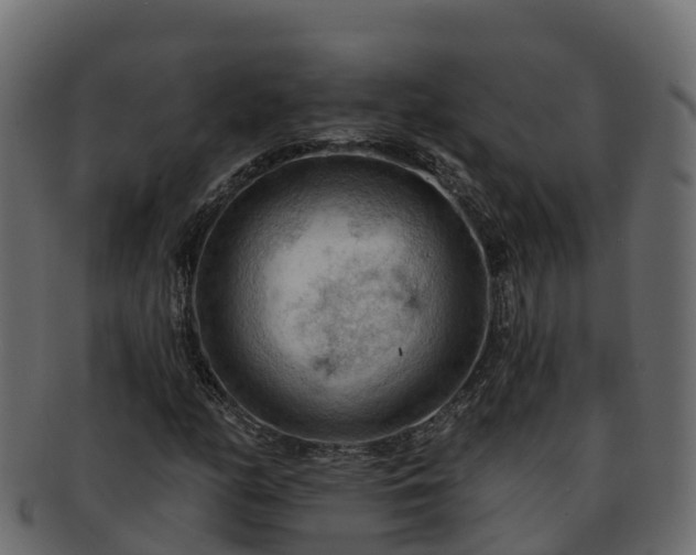 X0000092281158200710041405