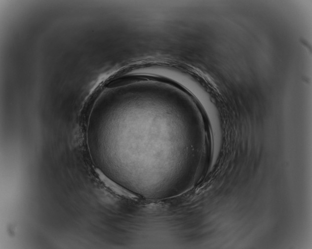 X0000092281160200710041405