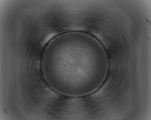 X0000092281163200710041405