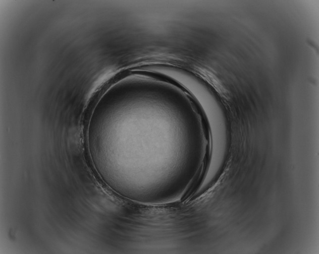 X0000092281164200710041405