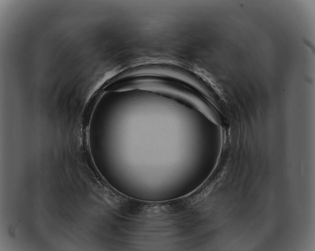 X0000092281165200710041405