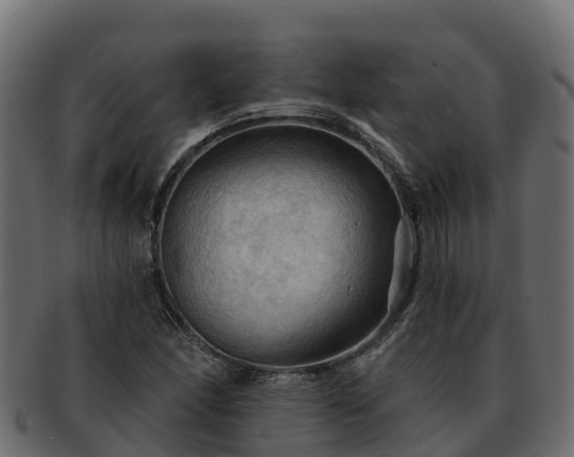 X0000092281166200710041405