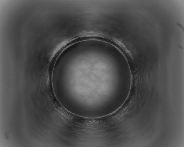 X0000092281167200710041405