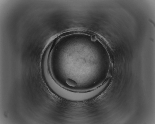 X0000092281168200710041405