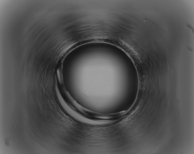 X0000092281169200710041405