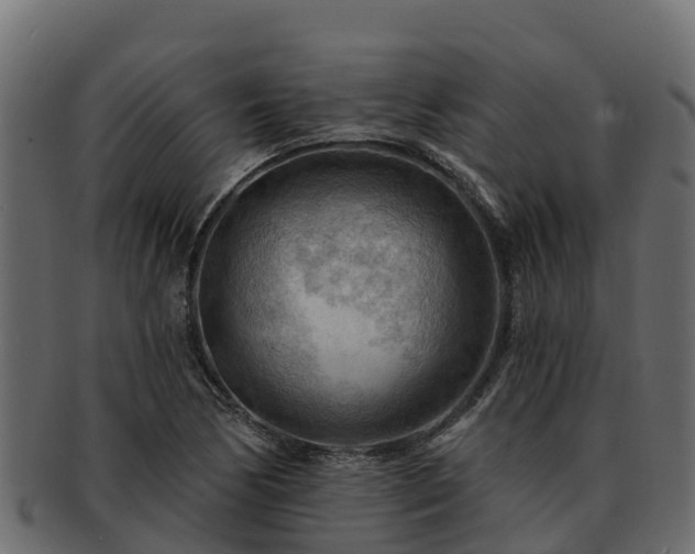 X0000092281170200710041405