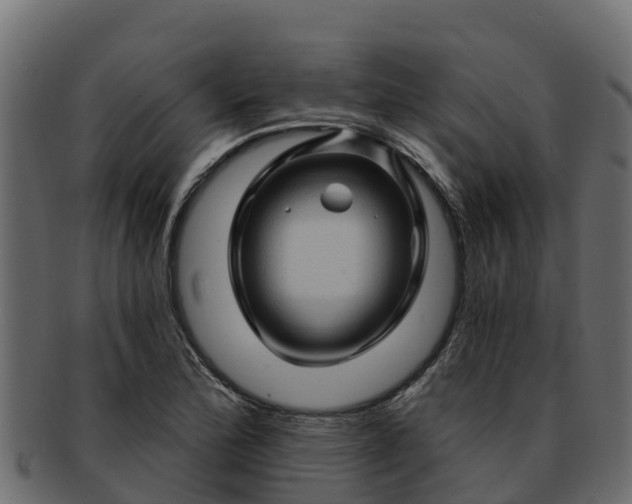 X0000092281172200710041405