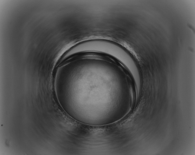 X0000092281173200710041405