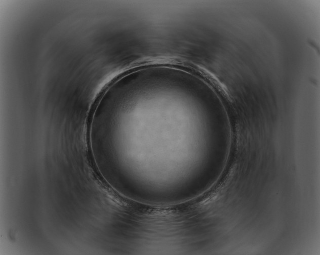 X0000092281174200710041405