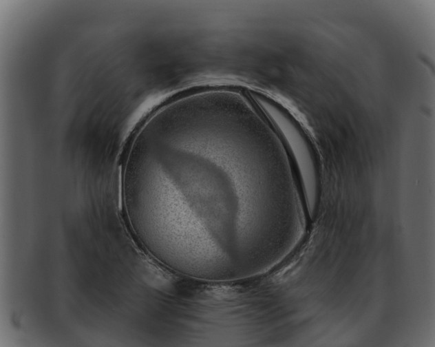 X0000092281175200710041405