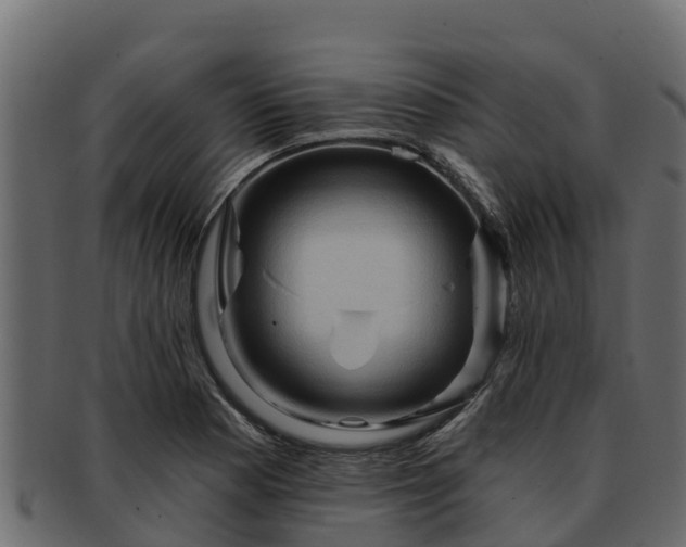 X0000092281177200710041405