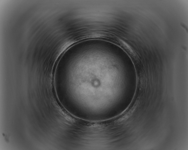 X0000092281178200710041405