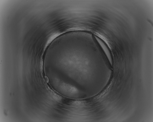 X0000092281179200710041405