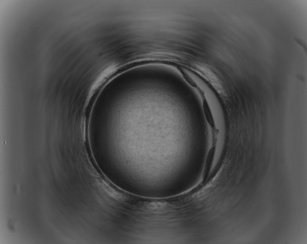 X0000092281180200710041405