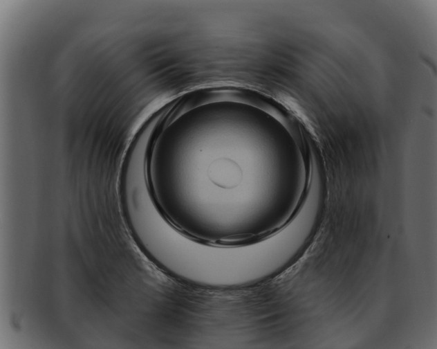 X0000092281181200710041405